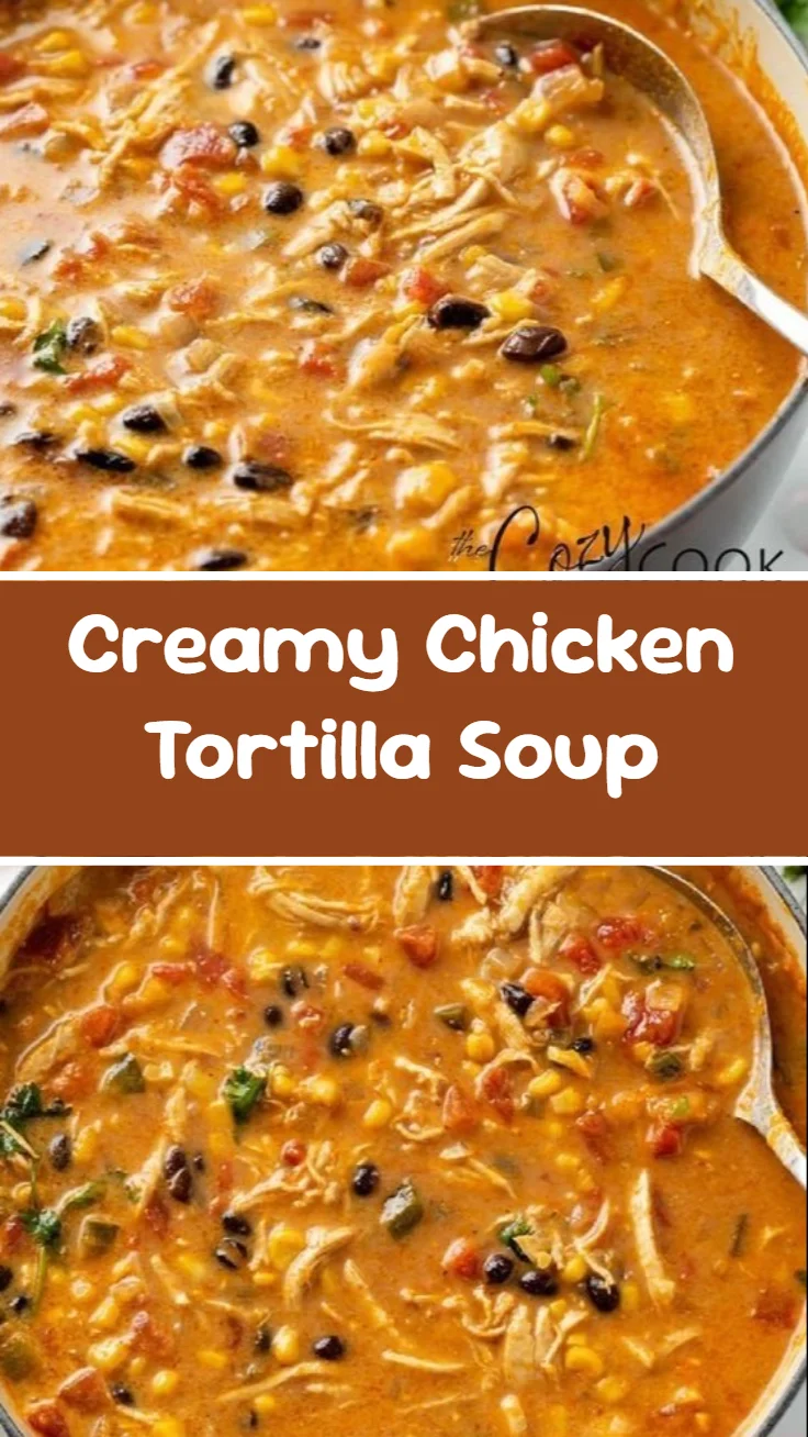 Creamy Chicken Tortilla Soup