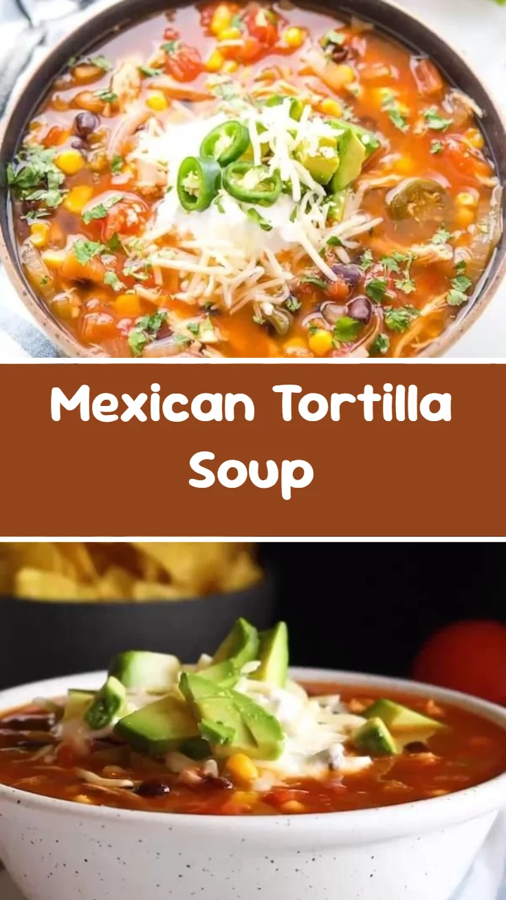 Mexican Tortilla Soup