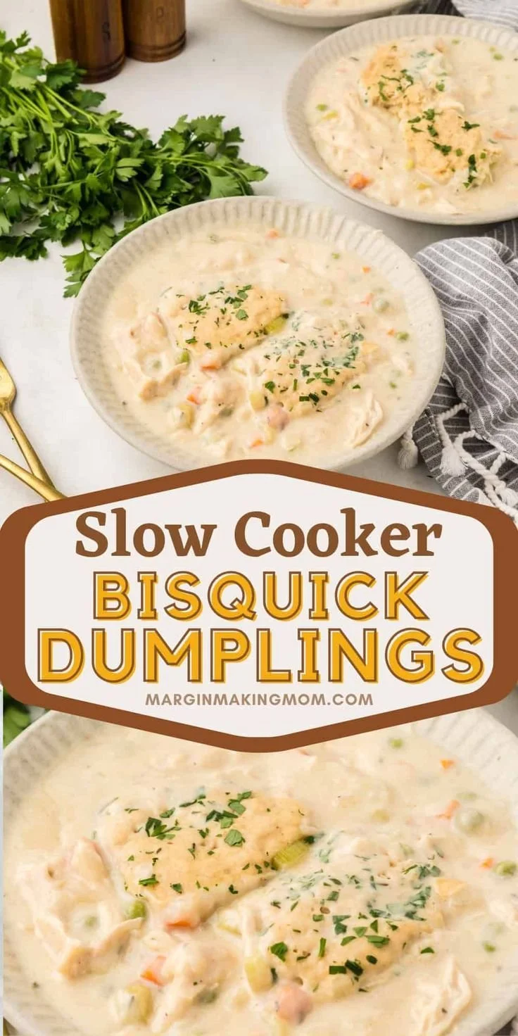 Bowl of slow cooker chicken and dumplings made with Bisquick