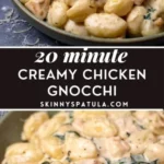 creamy chicken gnocchi skinny spatula 2026 08 06 183344 488x1024 1