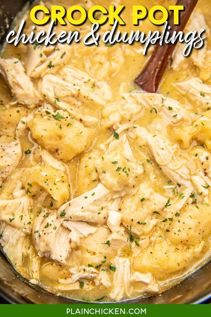 Crock Pot Chicken and Dumplings served in a rustic bowl with fresh herbs