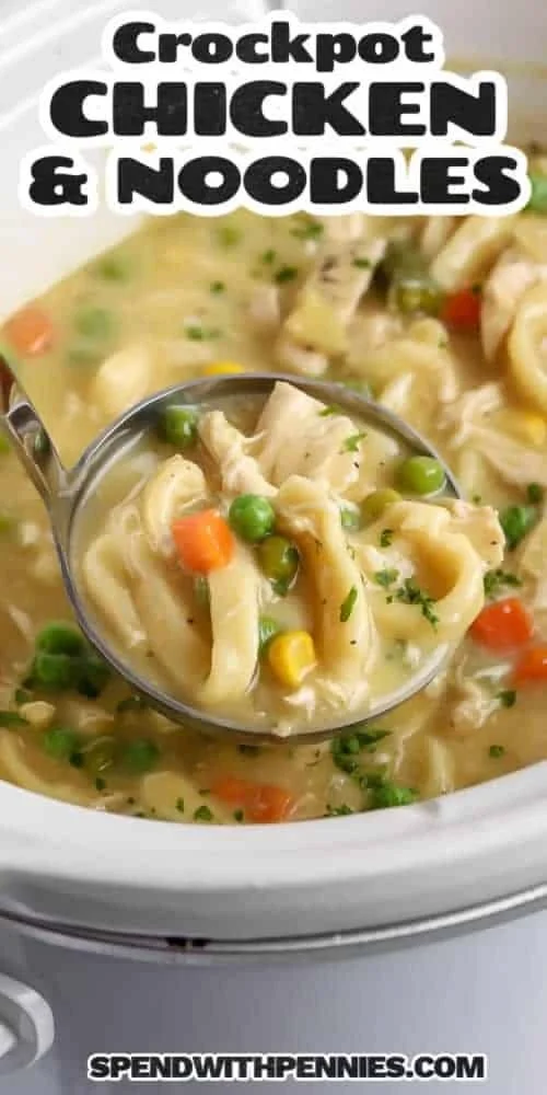 Creamy crockpot chicken and noodles served in a bowl