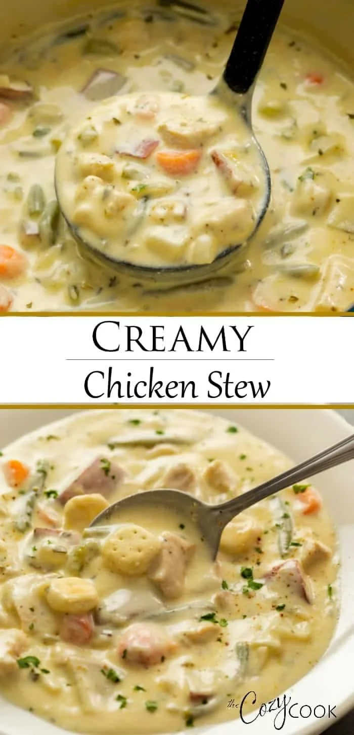 Bowl of creamy chicken stew with vegetables and herbs
