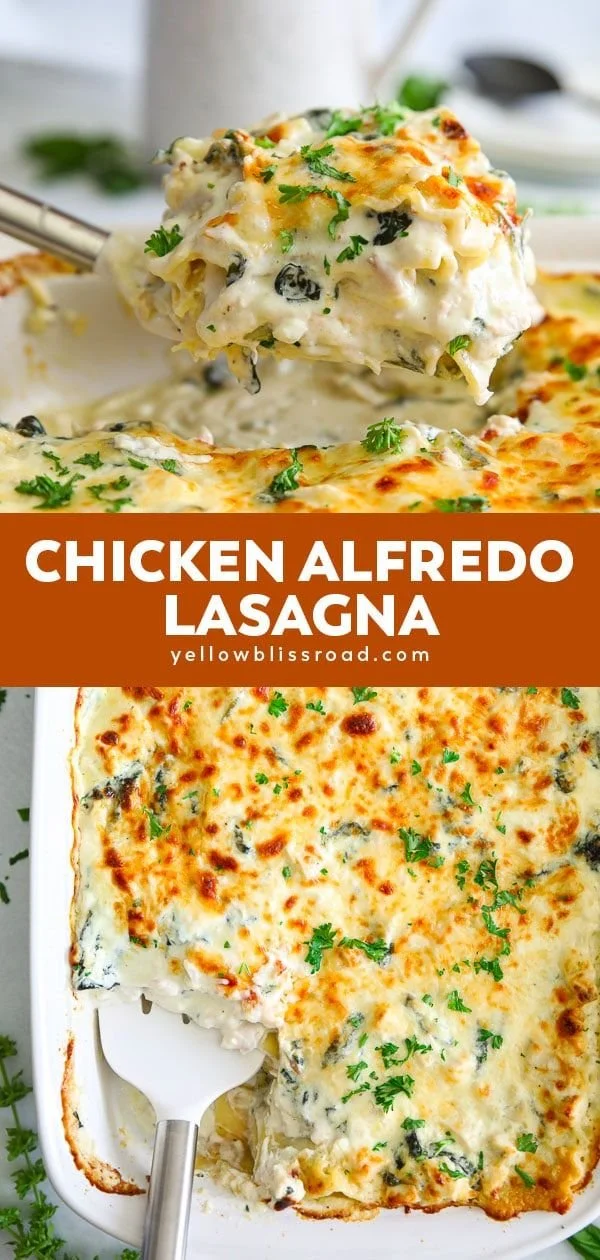 Delicious Easy Alfredo Chicken Lasagna with creamy sauce and chicken layers