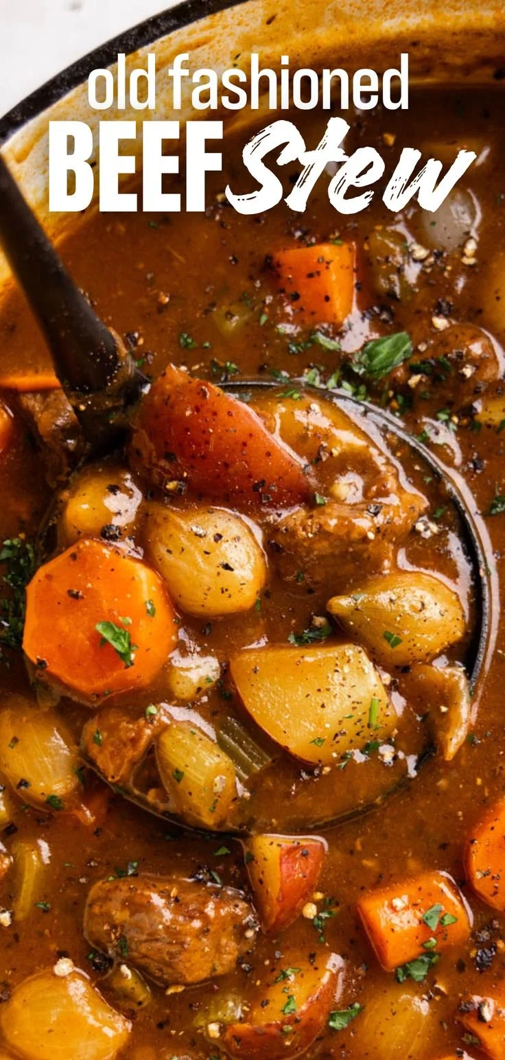 Bowl of old fashioned beef stew with tender meat and vegetables